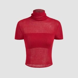 Cider Red Sheer Crop Top